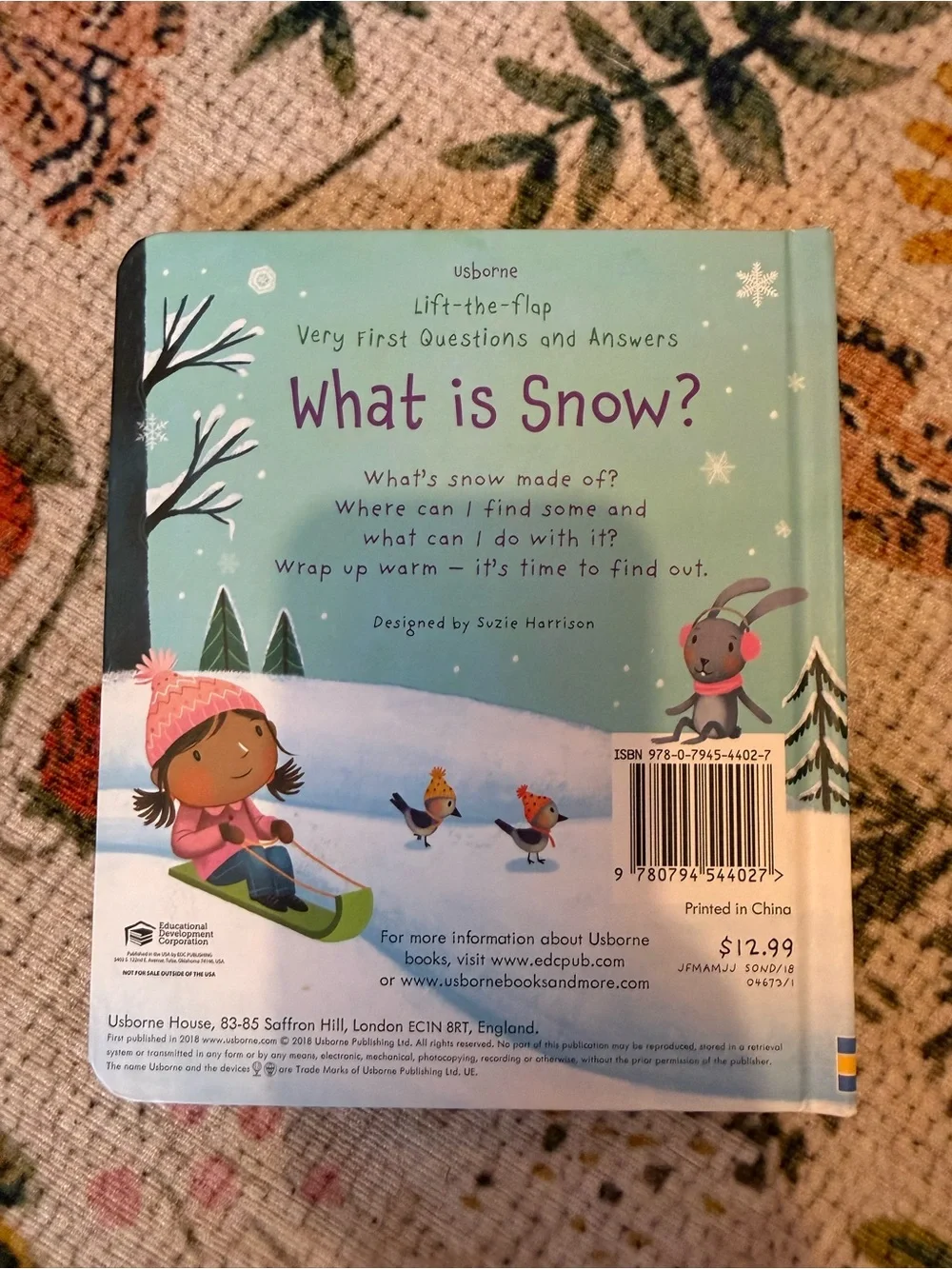 Usbourne What is Snow Board Book